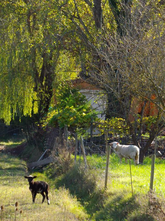 Chambres D'Hote Les Jardins De Prasserat Vallon-Pont-dʼArc Εξωτερικό φωτογραφία